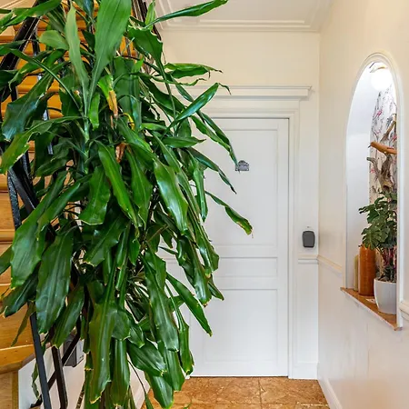 Big With Private Garden